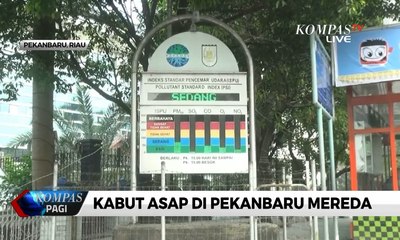 Kabut Asap di Pekanbaru Mereda, Udara Semakin Baik