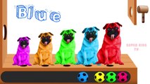 Learn colors with Colorful Dogs Funny Cartoons Soccer Ball Finger Family Nursery Rhymes for Children