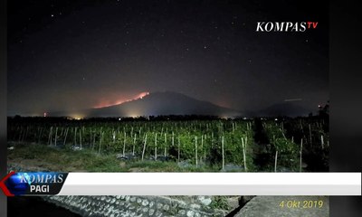Kebakaran Gunung Raung, 13 Pendaki Terjebak Saat Turun
