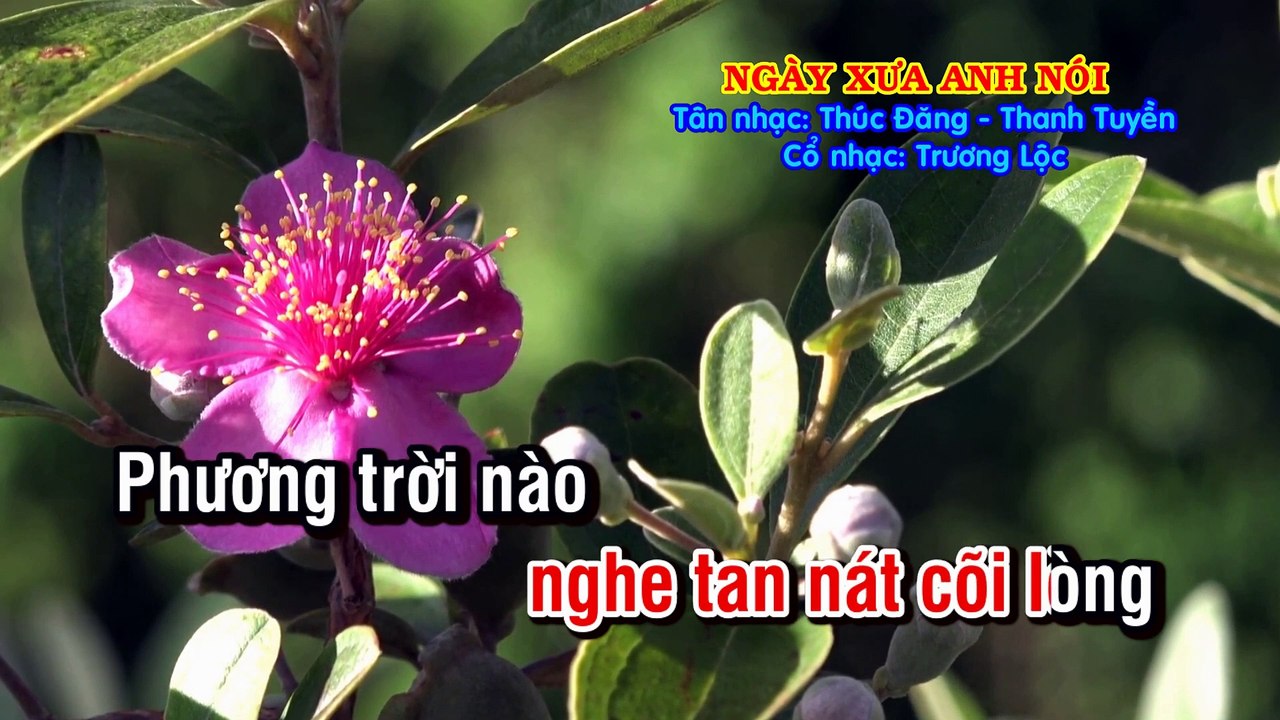 NGÀY XƯA ANH NÓI Tân Cổ KaraOke dây Đào Nhạc- Thúc Đăng & Thanh Tuyền - Vọng cổ- Trương Lộc