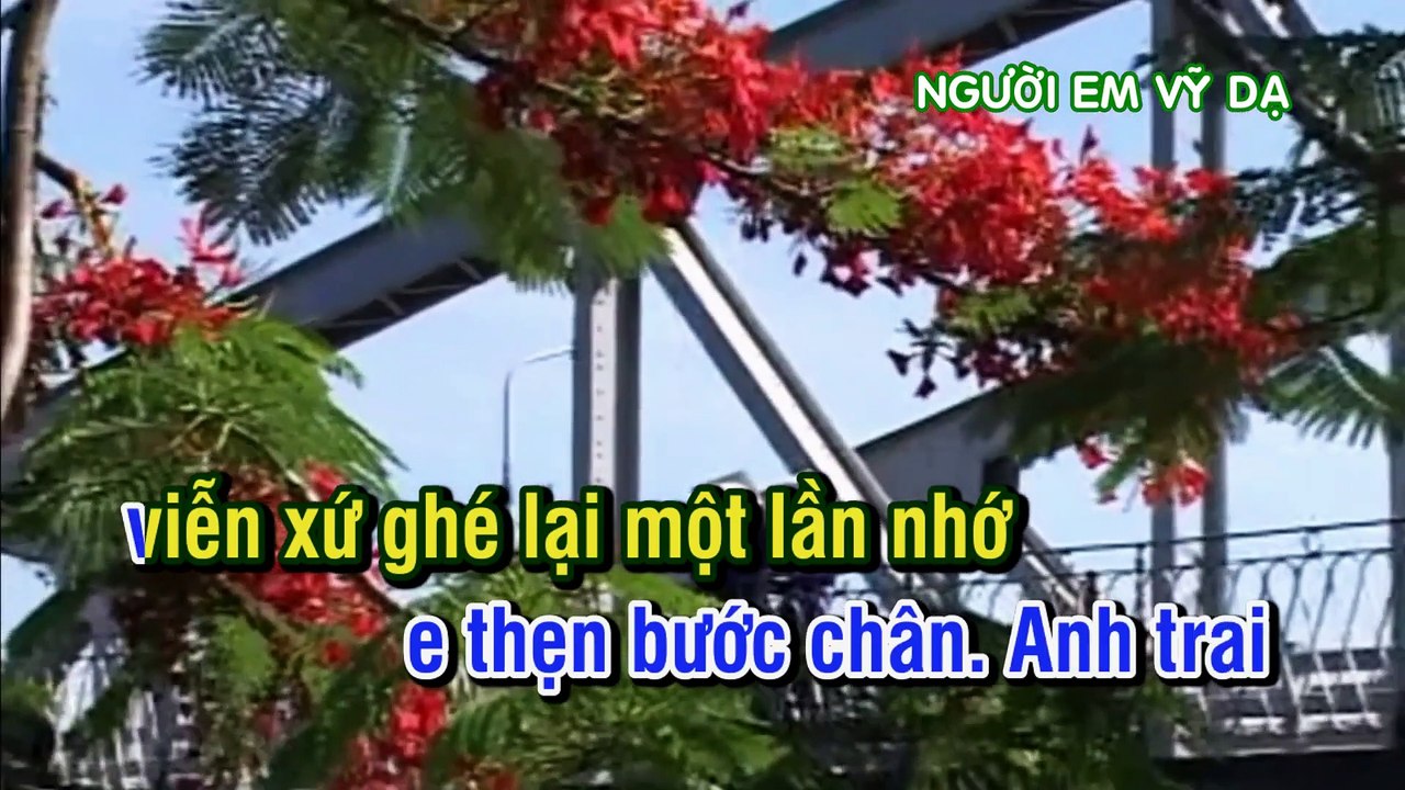 NGƯỜI EM VỸ DẠ Tân Cổ KaraOke Song ca