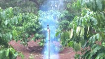 Hải vlog - Làm Tên Lửa Từ Đường / How To Make Sugar Rockets KNO3