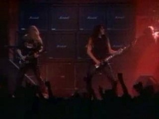 Slayer - Raining Blood  (live)