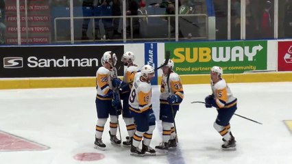Highlights: Blades (2) at Raiders (1) – OT