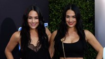 Brie Bella, Nikki Bella WWE 20th Anniversary Celebration Event Blue Carpet