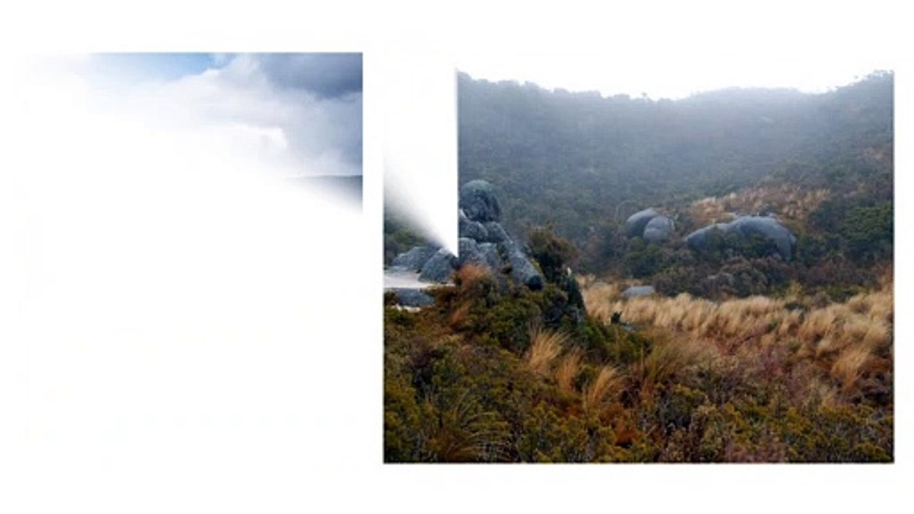 Some facts about Heaphy, Brown Hut and Kohaihai Track Transport