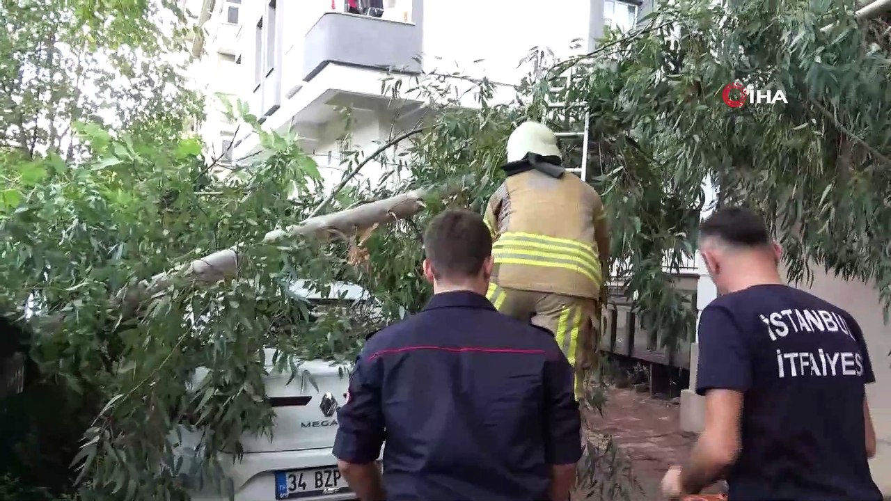 Maltepe’de şiddetli rüzgar nedeniyle kopan ağaç otomobilin üzerinde devrildi