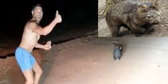 El imbécil que lapida hasta la muerte a este wombat es un policía fuera de servicio