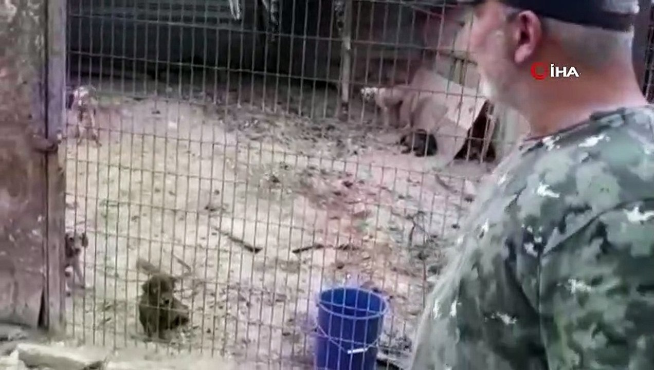 Ölüme terk edilen köpekler kurtarıldı