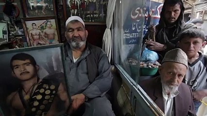 PJ Harvey A Dog Called Money Film - Dokumentation