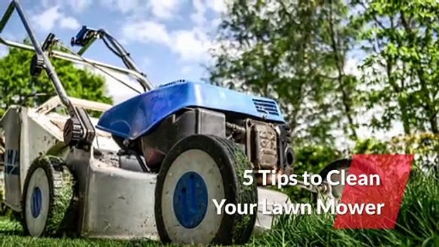 5 Tips to clean Lawn Mowers