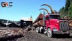 World Dangerous Monster Truck Fastest Extreme Processing, Heavy biggest Truck Logging Skill(1)