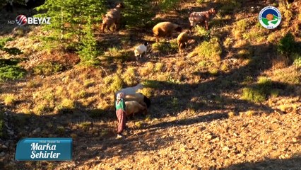 Marka Şehirler 5 Ekim 2019