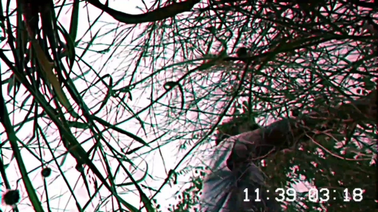 Cj TopOff - Psychedelic TopOff Video [ Prod. Purple Six Beats ]