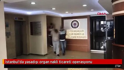 İstanbul'da yasadışı organ nakli ticareti operasyonu