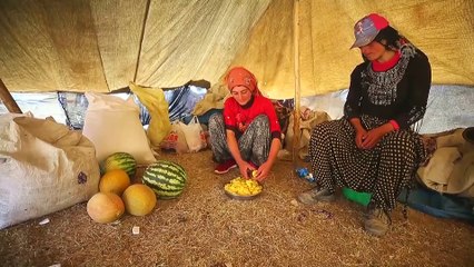 Göçerlerin 'eve dönüş' yolculuğu - VAN