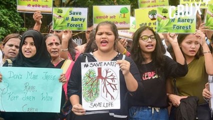 நுரையீரல் பகுதி மரங்களை வெட்ட எதிர்ப்பு... தீவிரமடையும் போராட்டம் -வீடியோ