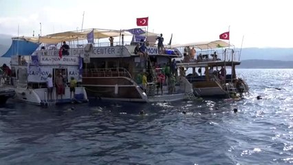 Van Gölü için 500 kilometre yürüdüler