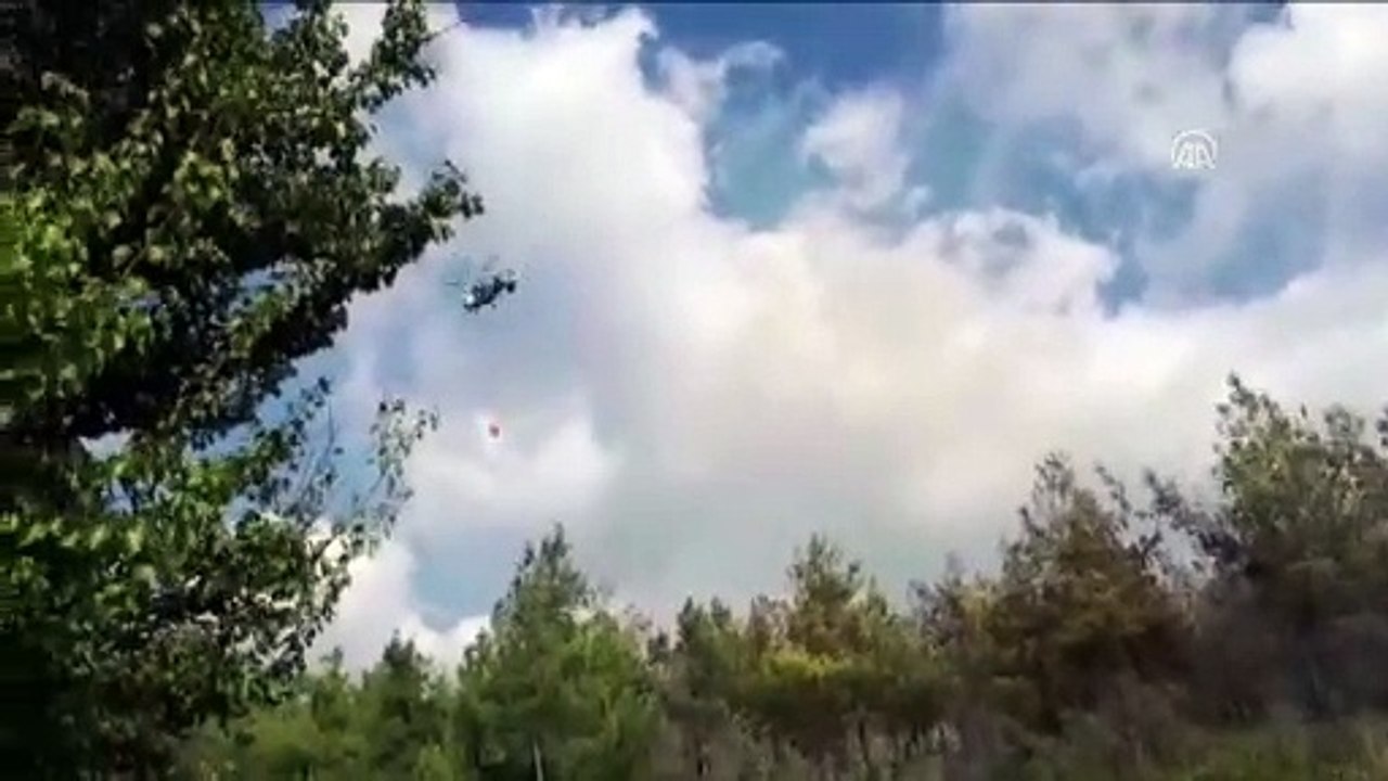 Hatay'da orman yangınları