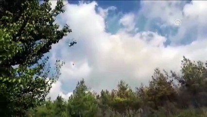 Hatay'da orman yangınları