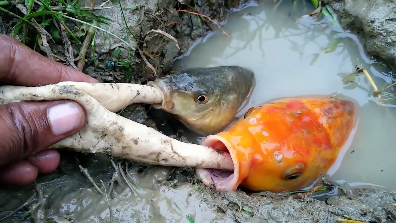 Fishing In Secret Hole