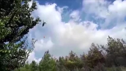 Hatay'da orman yangınları