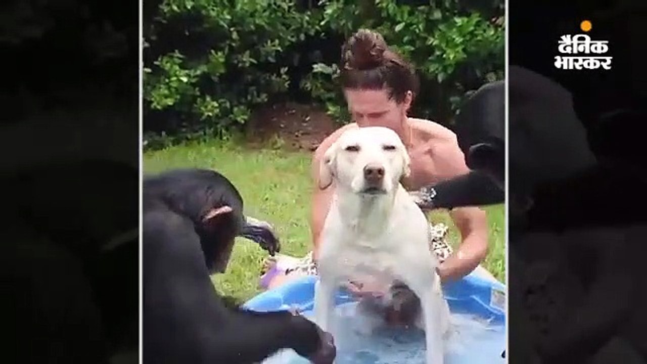 pointer video