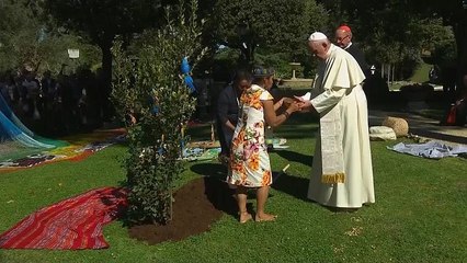 Vor Amazonas-Synode: Papst Franziskus pflanzt Eiche im Vatikan