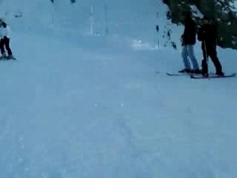 Journée Foux d'allos 26.01.08 (2)