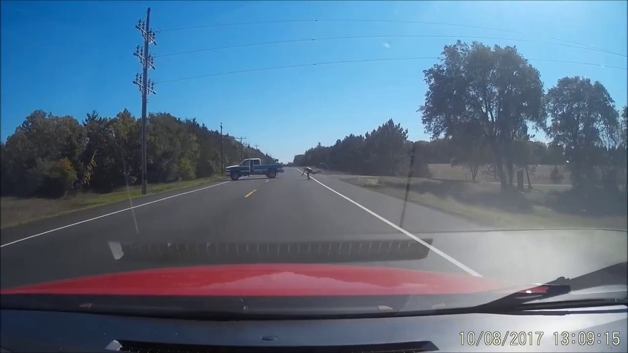 Il oublie le frein à main de sa voiture et se retrouve à courir après