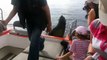 Une otarie pas très timide grimpe à bord d'un bateau de touristes