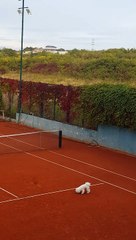 Noa, kuca Hane Đedović