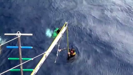 Engelli dalışçı Beyaz'dan dünya rekoru