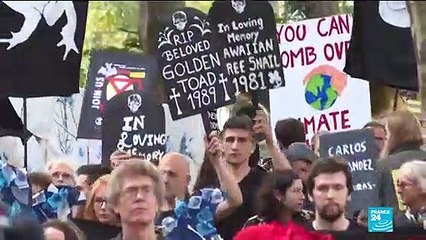 Extinction Rebellion Explained: Who Are They & What Are Their Goals? 🌍