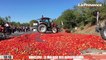 Le 18:18 - Opérations escargots, manifestations, blocages : le ras-le-bol des agriculteurs en Provence