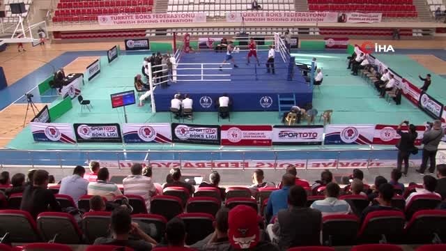 Türkiye Büyük Erkekler Ferdi Boks Şampiyonası Erzincan'da başladı