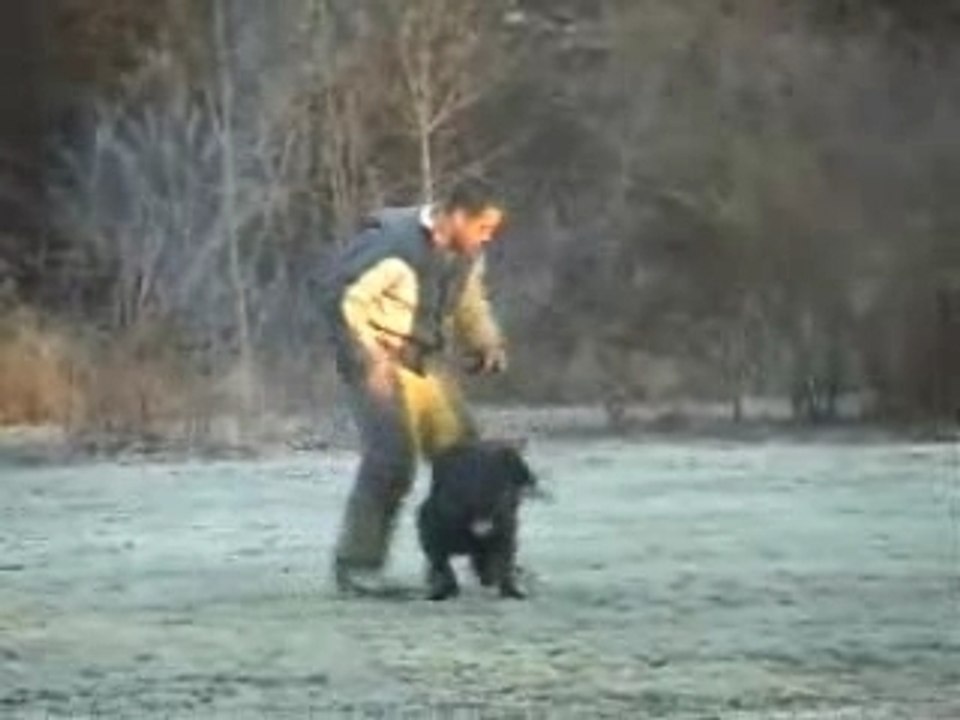 Alioth du haut marais défense du maitre