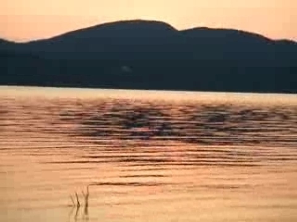 Eats-Unis 2007 611
