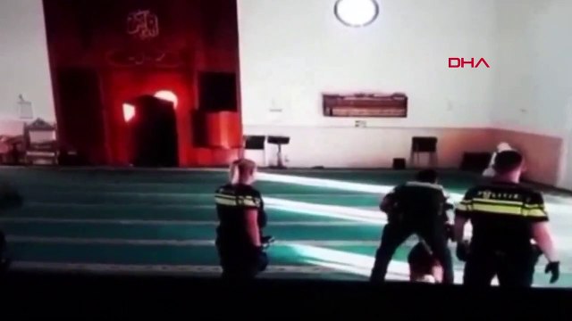 Hollanda'da polis şüpheliyi yakalamak isterken camiye köpekle girdi