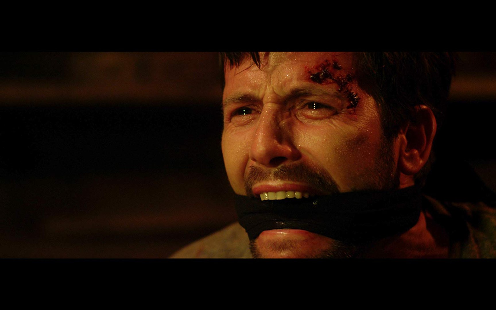 ⁣Animal Among Us Movie