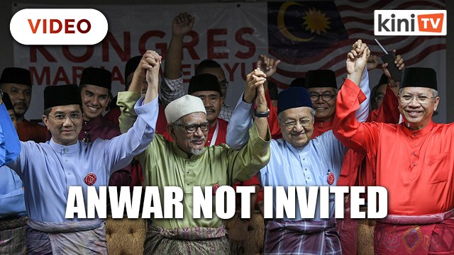 Harapan, Umno, PAS leaders join hands for 'Malay dignity'