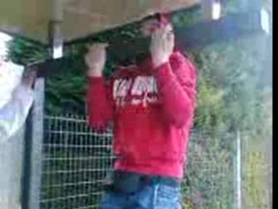 muscul