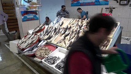 Trabzon'da tezgahlar doldu, hamsi fiyatı düştü