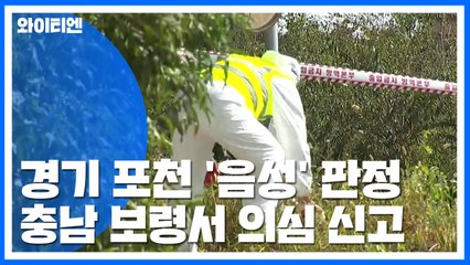 경기 포천 '음성' 판정...충남 보령서도 의심 신고 / YTN