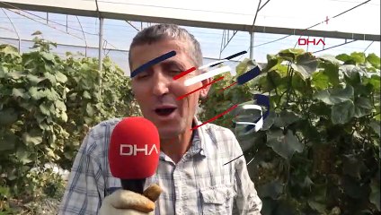 Bu köy 7 ayda 5 muhtar değiştirdi! "Lanetli değil talihsiz..."