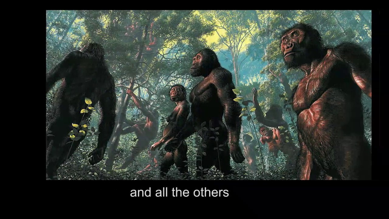 Lucy: Dawn To Dusk Pt1