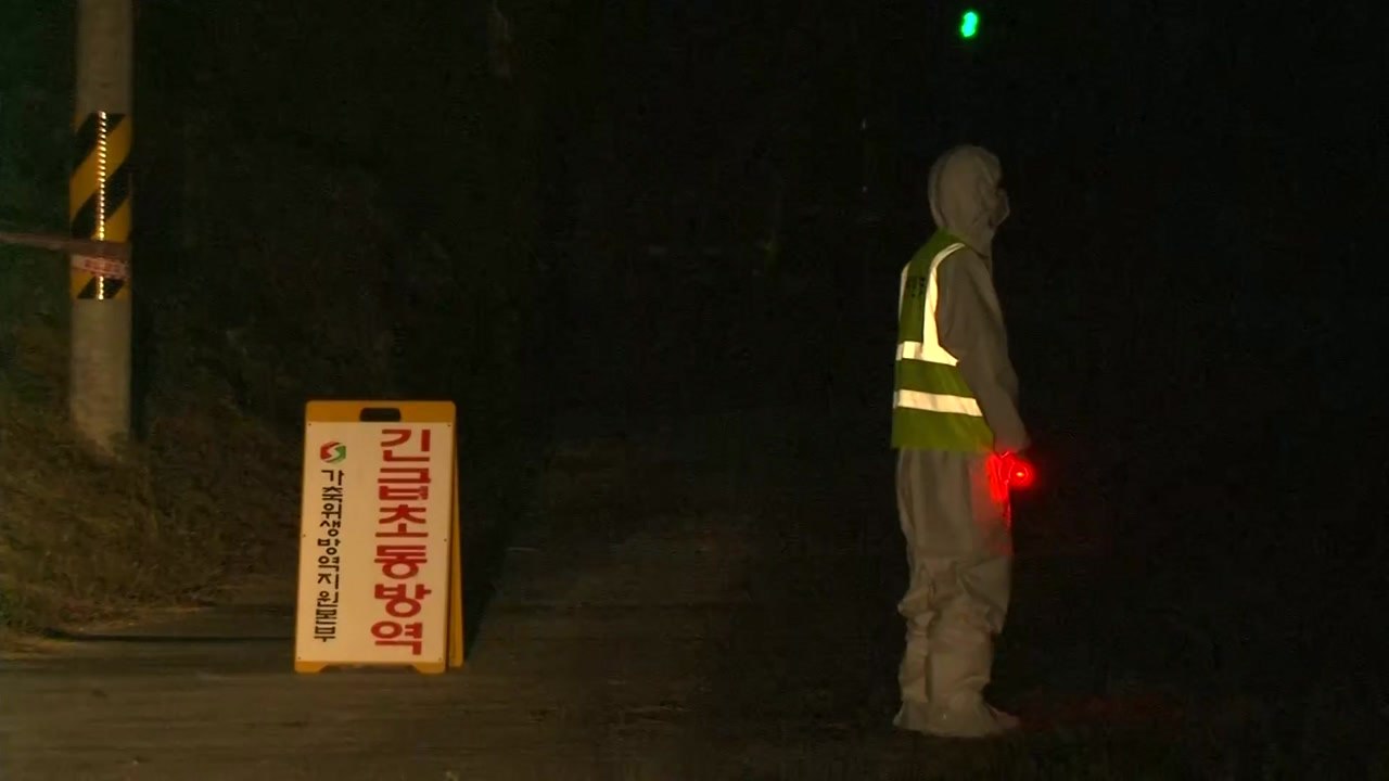 충남 보령 의심신고...경기 포천 '음성' 판정 / YTN