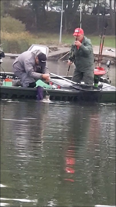 Concours de pêche en barque : aux prises avec un silure de plus d'un mètre