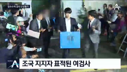 조국 집 압수수색 여검사 외모 비하까지…도 넘은 신상털이