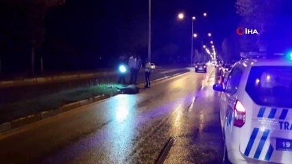 Şehir merkezine inen domuz kazaya neden oldu